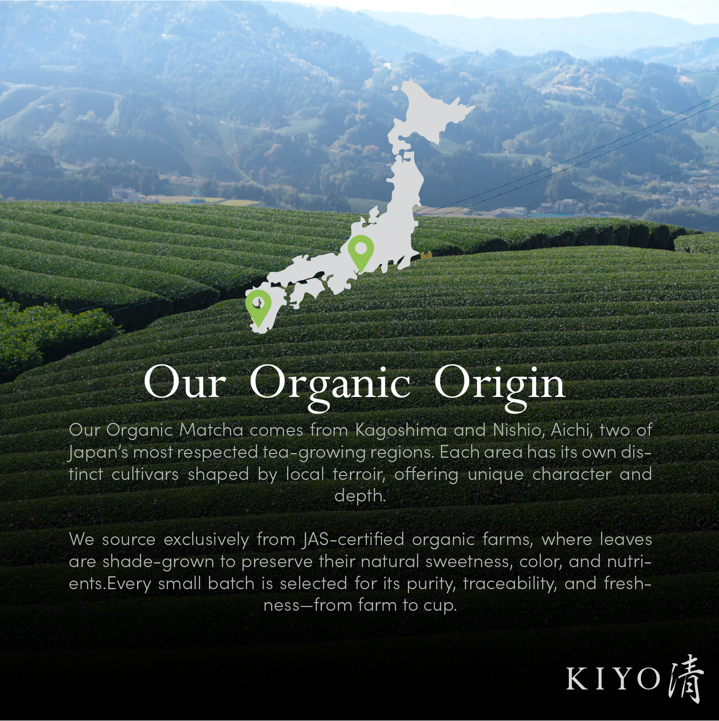 Organic Classic Grade Chiba No Shiro Ceremonial Uji Matcha (1.4oz/40g)