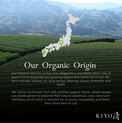 Organic Classic Grade Chiba No Shiro Ceremonial Uji Matcha (1.4oz/40g)